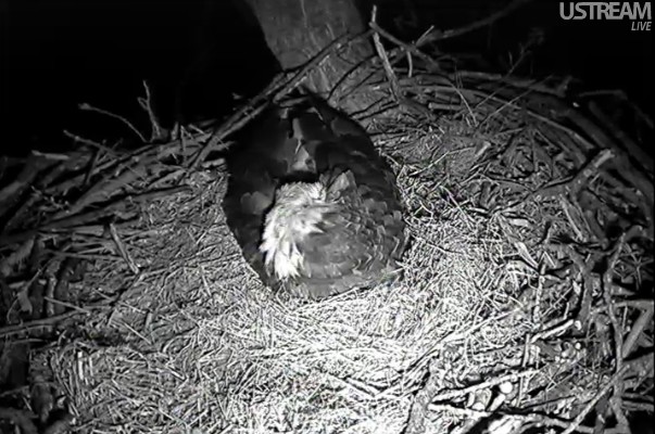 ScreenHunter_58 Feb. 21 20.34.jpg